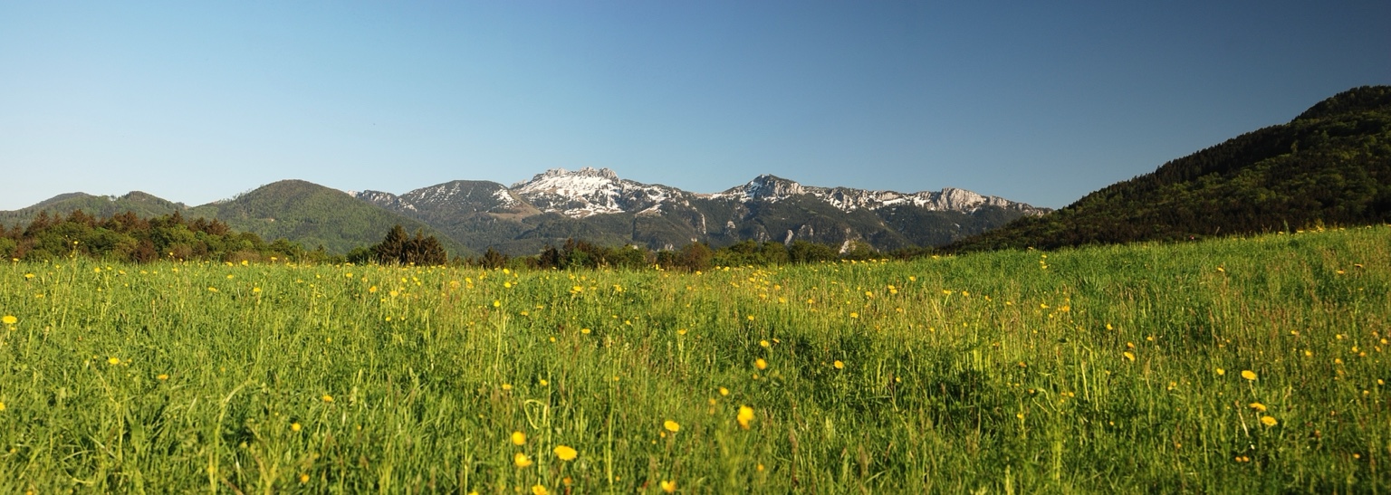 Kampenwand bei Bernau am Chiemsee