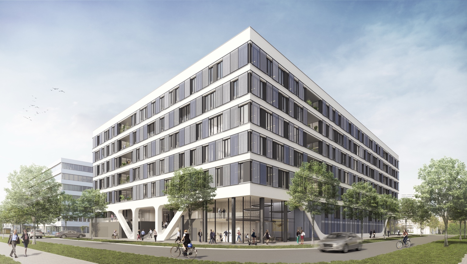 NICO Frankfurt
